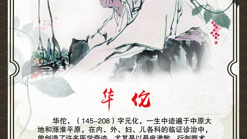 中药调理药材批发长期合作