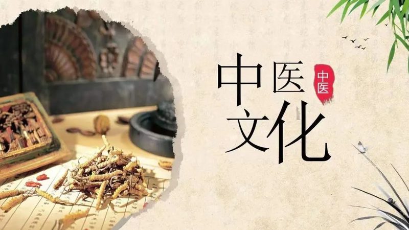 养生保健服务门店项目分类解析**